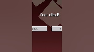 Minecraft:With totem I jump to void what happened 🤔🤔🤔