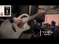 つくば山/奥田民生 cover