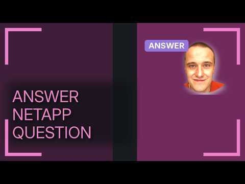How can I query the NetAPP ONTAP API without using the SDK?