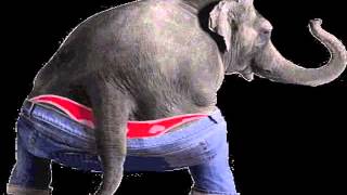 Dead Elephant Dance