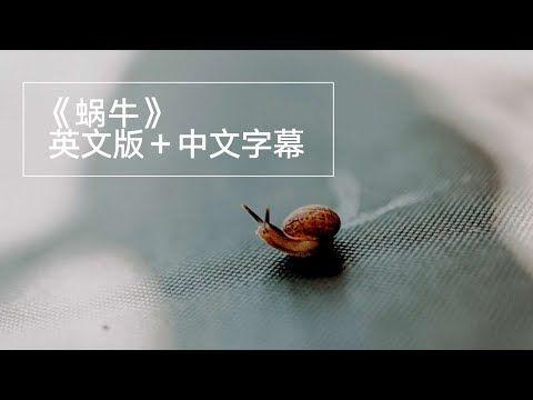 我用自己写的英文翻唱了周杰伦的《蜗牛》