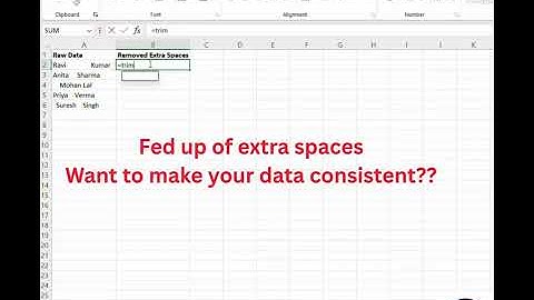 How to Remove Extra Spaces in Excel (TRIM Function)