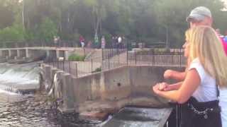 Bill's Place - Ruby Falls - Guster