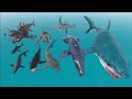 Aircraft Megalodon vs Colossal Shark vs 3D Epic, Real Shark Size Comparison