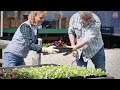 Do These 50 May Organic Gardening Tips Before It's Too Late!