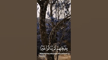 ما تيسر من سورة الأحزاب. #ارح_قلبك #المصحف #راحة_نفسية #اكسبلور #تلاوة_خاشعة #صلوا_على_النبي