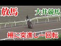 【地方競馬】大井競馬　放馬で一回転　2021年5月20日　第４レース