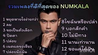 รวมเพลงที่ดีที่สุดของ NUMKALA หยุดหายใจง่ายกว่า#ลม #ขอเป็นตัวเลือก #ปล่อย #กะลา ปล่อยมือฉัน...