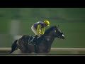 Race #4 – 23.02.24 – Al Bastakiya Presented By Longines