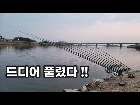 민물장어 바글바글 모여있는 특급 포인트!! 비싼 장어 싹쓰리하러 가봤는데~!?