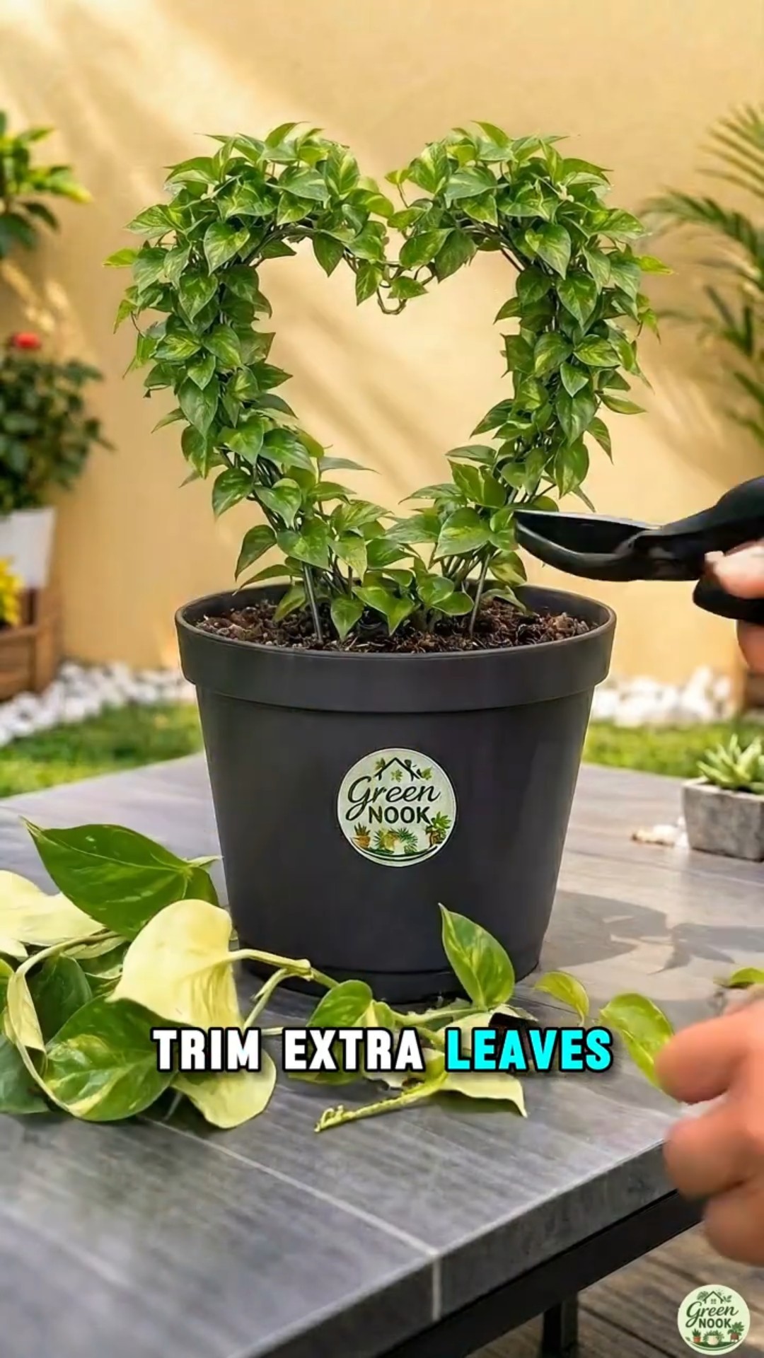 Turn a Pothos Plant Into a Heart Shape ❤️ #shorts #planting