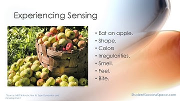 MBTI Experiencing Extraverted Sensing - ESTP and ESFP