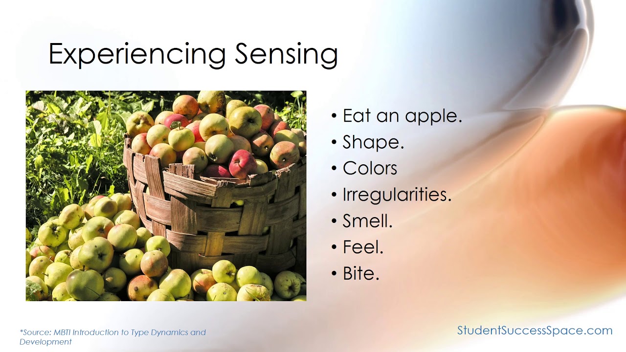 MBTI Experiencing Extraverted Sensing - ESTP and ESFP