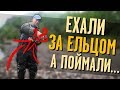 Рыбалка на Ельца и неожиданный улов! Как настроить удилище?