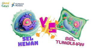 Pengenalan Sel: Sel Hewan vs Tumbuhan | IPA SMP Kelas 8 Kurikulum Merdeka (Part 2)