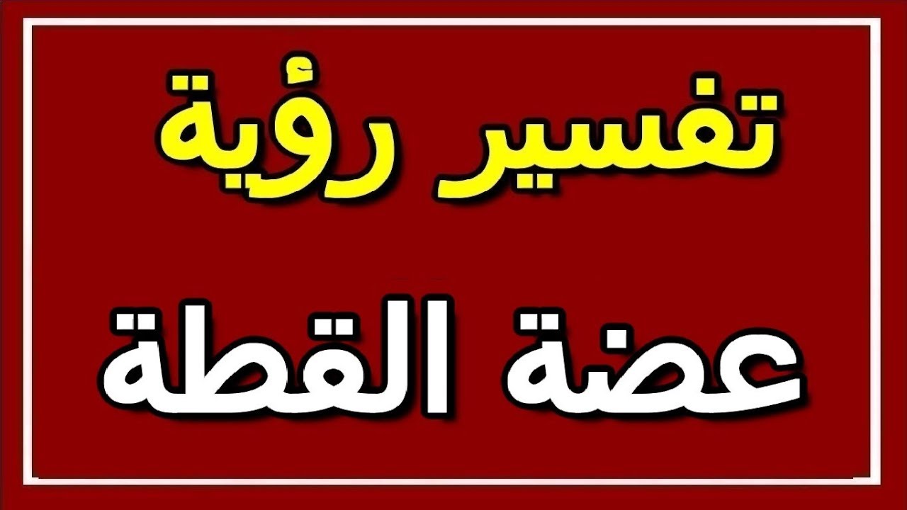 عضة القطة في المنام