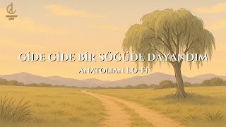 Gide Gide Bir Söğüde Dayandım Anatolian Lo - Fi