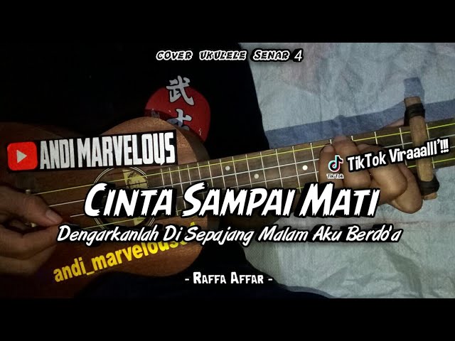 Raffa Affar - Cinta Sampai Mati || Cover Ukulele Senar 4 By Andi Marvelous class=