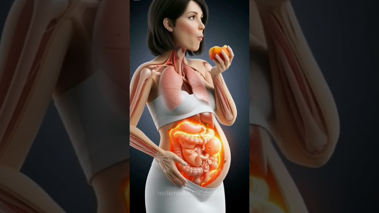 🍑Peaches help with digestion & skin glow