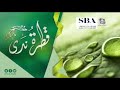 قطرة ندى الهدوء النفسي د صالح الدقلة 19 8 1442هـ 