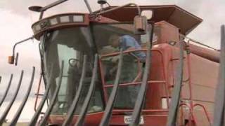 Harrowing Harvest