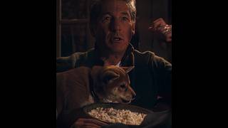 A True Loyal Pet Hachi - A Dogs Tale Edit Kamin