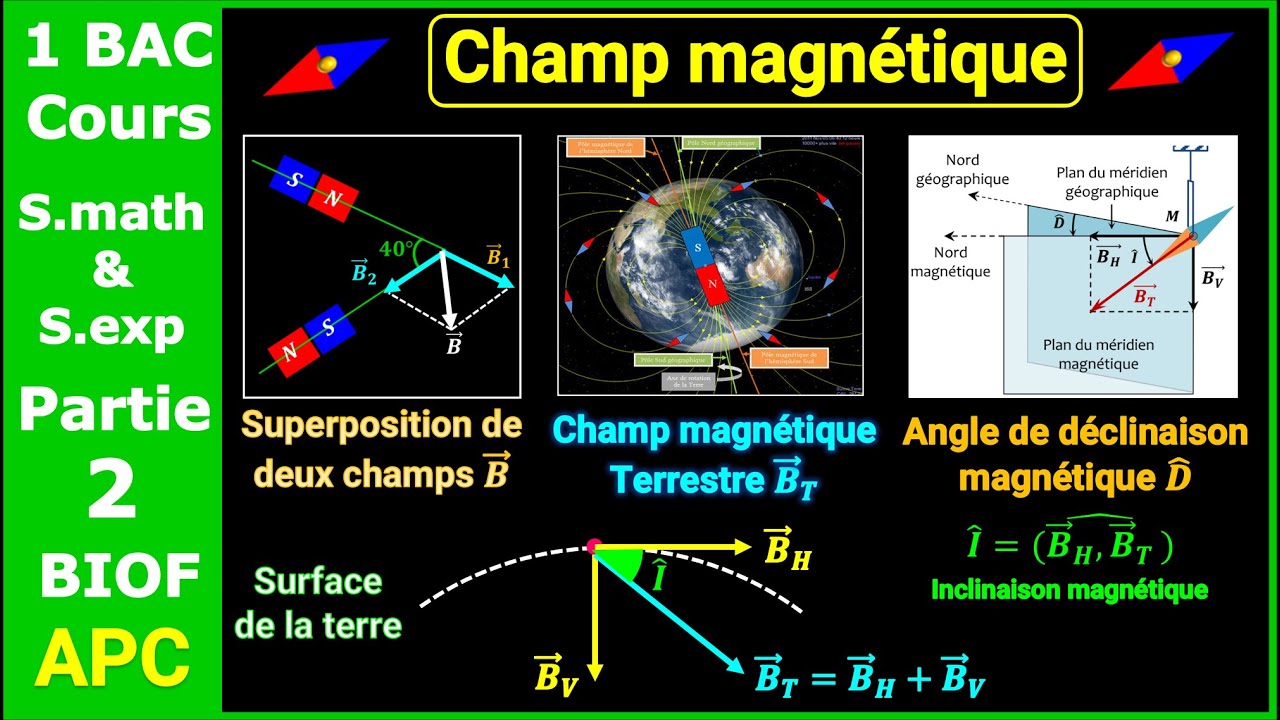 P2- Champ magnétique || Cours détaillé || 1 BAC - BIOF