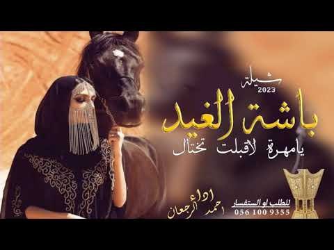 شيلة باشة الغيد حماس 2023 شيله يامهرة لاقبلت تختال ٢٠٢٢ جديدة اداء أحمد الرجعان
