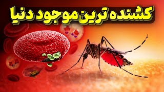 پشه، قاتل بیش ازسیصد میلیون انسان و دستاورد مهلک آن مالاریا