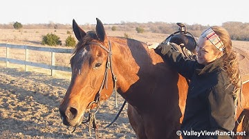 Playboys Boon Storm***For info, price, etc., go to our website*** Valley View Ranch