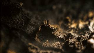 Approaching The Void | A Mystical Sonic-Soundscape Through The Alluring Spaces for Stillness