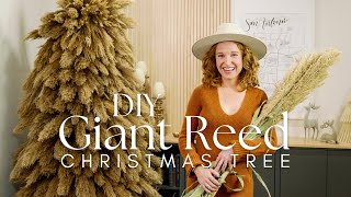 HOW TO: Pampas Grass Christmas Tree for $12 | Pampas Grass Decor vs Giant Reed