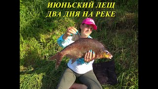 видео: Крупный ЛЕЩ на фидер в жару ЛЕТО 2022 Рыбалка и отдых на Западной Двине . Лещ , Щука , Сом на реке . картинка: Крупный ЛЕЩ на фидер в жару ЛЕТО 2022 Рыбалка и отдых на Западной Двине . Лещ , Щука , Сом на реке .