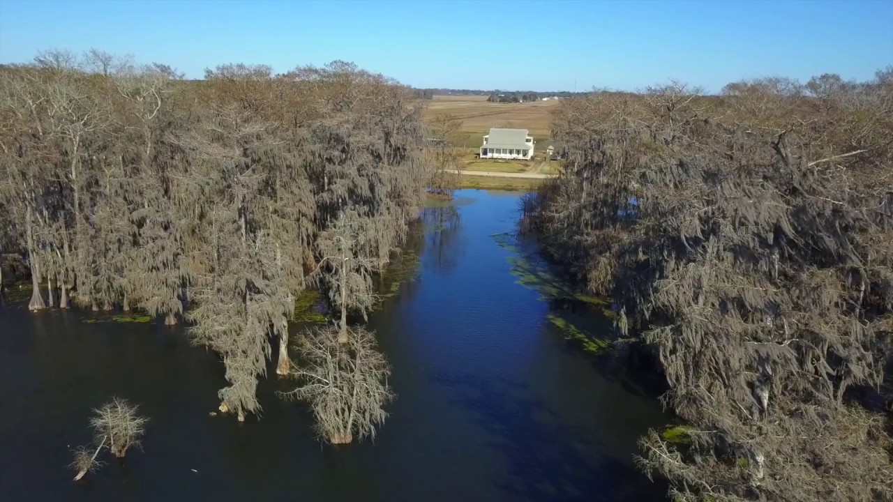 Lake Martin Breaux Bridge, LA YouTube