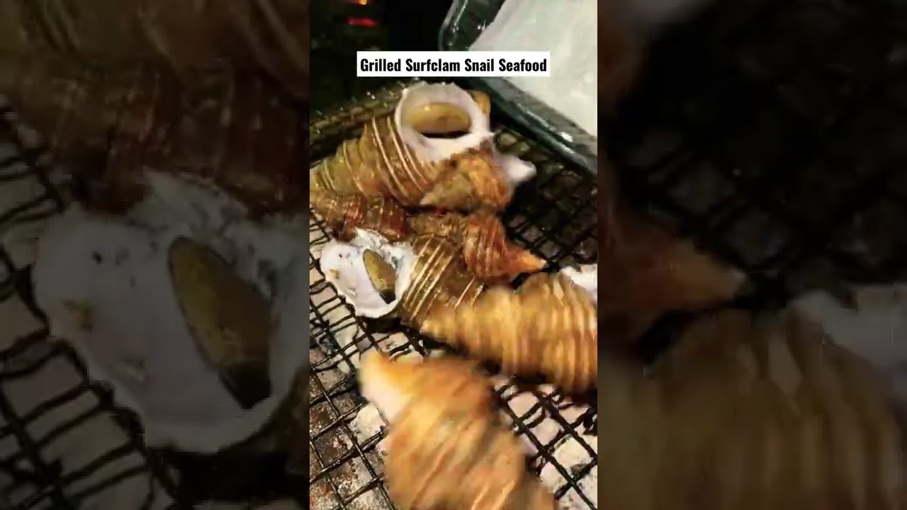 Grilled Surf clam & Snail Seafood 