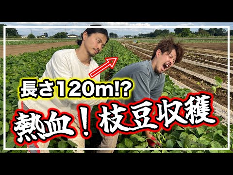 ウェンデル・ベリーの環境思想 : 農的生活のすすめ ウェンデル・ベリ-の環境思想: 農的生活のすすめ | ウェンデル