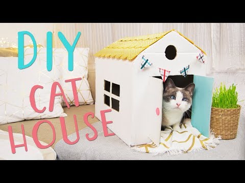 Video: Cómo Hacerte Una Casa Para Un Gato