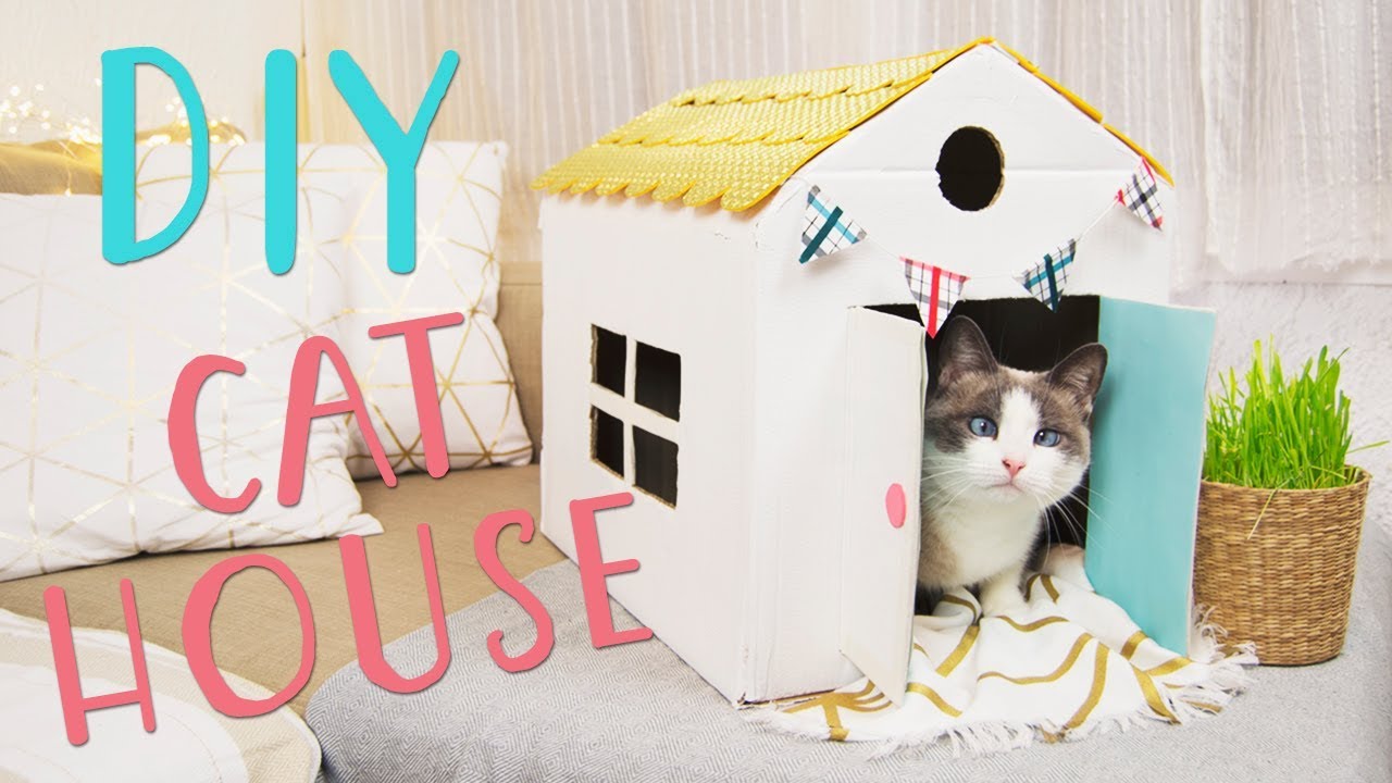 CÓMO HACER UNA CASA PARA GATOS ? | HOW TO MAKE A CAT HOUSE | Silvia Ahora  - YouTube