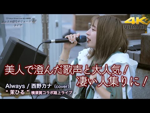 【 驚愕の歌声 】美人で澄んだ歌声と大人気！凄い人集りに！　  Always / 西野カナ（cover）" 茉ひる "  横須賀コラボ路上ライブ  4K映像