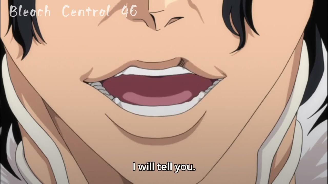 After recovering his powers Ichigo fights an "Arrancar Quincy" BLEACH