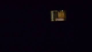 Fireflies After Dark, NJ, USA