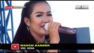 Download Lagu Wadon Kandek - Ocha | NADA PANTURA | Live Pangenan Lor Cirebon MP3 Download Lagu Wadon Kandek - Ocha | NADA PANTURA | Live Pangenan Lor Cirebon MP3