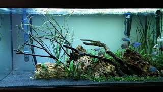 EHEIM Aquarium Proxima 250