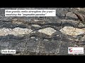 How granitic melts strengthen the crust - resolving the "pegmatite paradox"