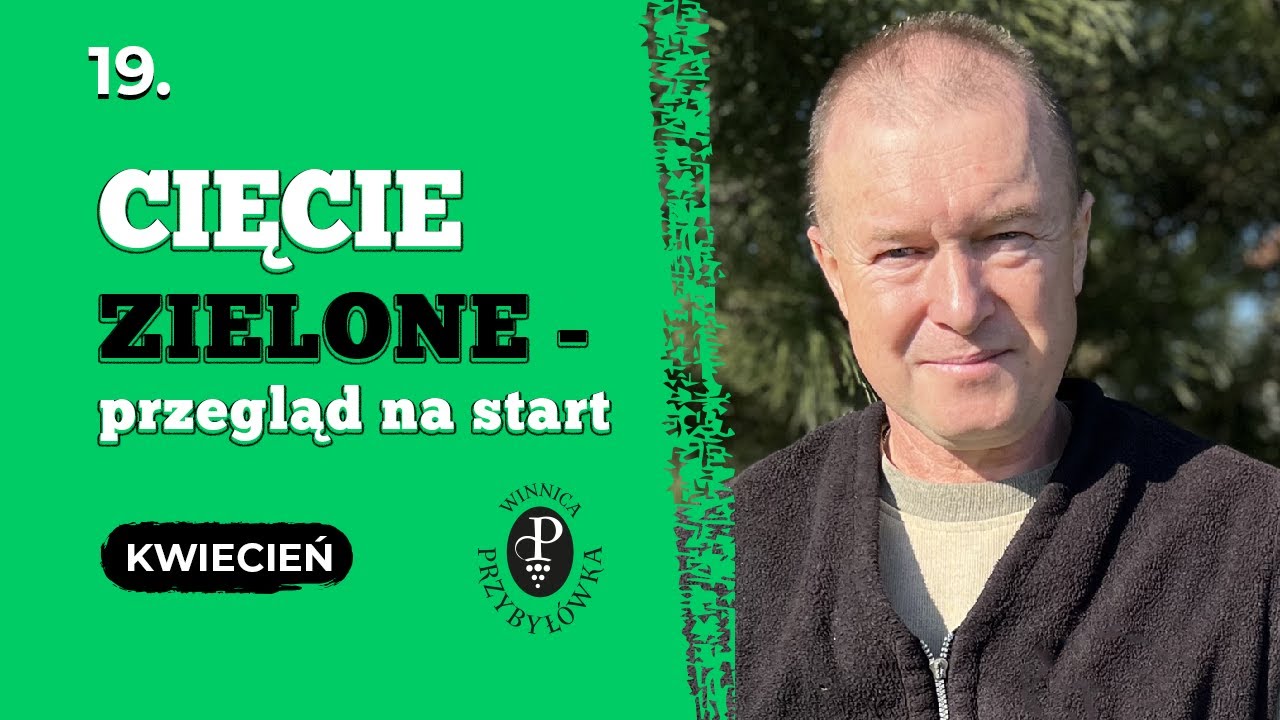 Pierwsze cięcie zielone - przegląd na start.