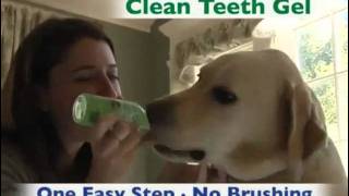 TropiClean Fresh Breath