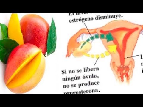 Que tomar para la menopausia natural