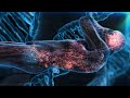 777 Hz , 528 Hz ANGELIC CODE, Repairs DNA Healing Code, Manifest Miracles, Release Negative Energy