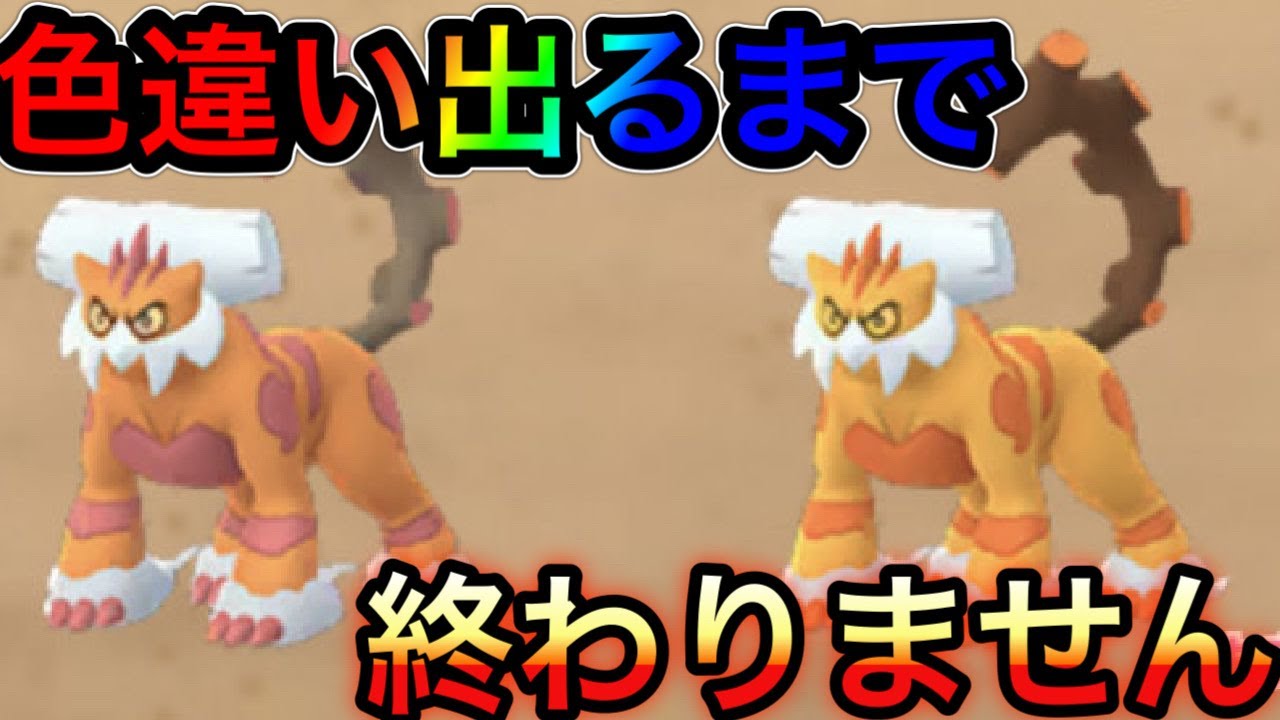 ランドロス色違い出るまで終われません ポケモンgopokemongo Youtube