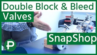 Double Block And Bleed Valves Peerless Snapshop